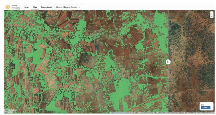 Mapping Tree Cover and Extent With Sentinel-1 and Sentinel-2